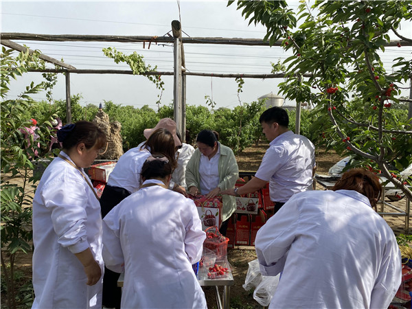 1622512981738440.jpg 今世康公司櫻桃采摘自助燒烤團建活動8.jpg