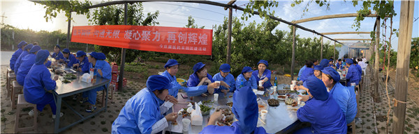 1622512997533051.jpg 今世康公司櫻桃采摘自助燒烤團建活動9.jpg