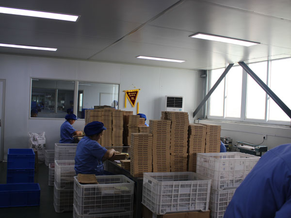 1629102527952903.jpg 31.jpg