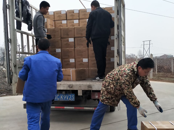 今世康膏藥廠(chǎng)家50萬(wàn)貼傳統(tǒng)黑膏藥貼牌產(chǎn)品發(fā)貨現(xiàn)場(chǎng) 今世康膏藥廠(chǎng)家50萬(wàn)貼傳統(tǒng)黑膏藥貼牌產(chǎn)品發(fā)貨現(xiàn)場(chǎng)